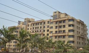 New Horizon Public School And Penguin Kids, New Panvel West, Navi Mumbai