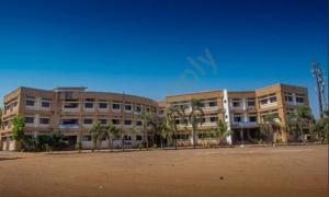 Ideal English School