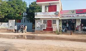 Orchids Central School of Excellence