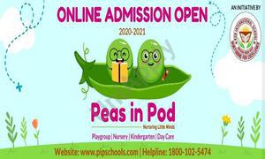 Peas in Pod, Gaur City 1, Greater Noida