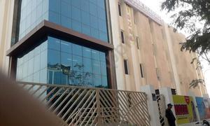 Kidzee, Gaur City 1, Greater Noida