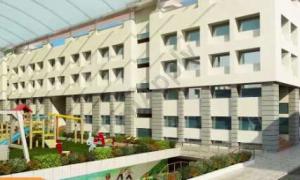 The Wisdom Tree School