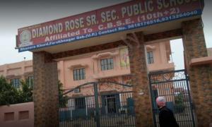 Diamond Rose Public School