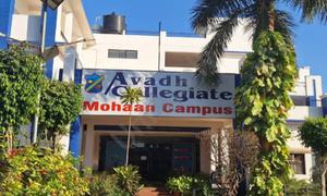 Avadh Collegiate