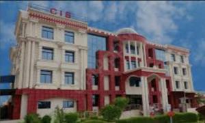 City International School