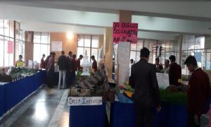 Amtul’s Public School, Ayarpatta, Nainital