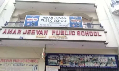 Amar Jeevan Public School, New Govindpura, Krishna Nagar, Delhi School Building