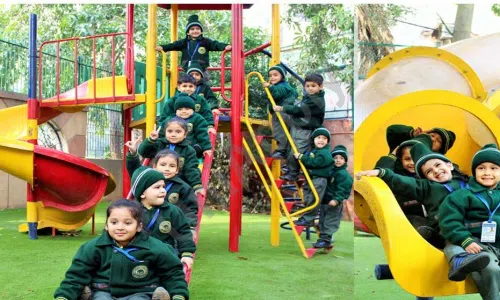 Mayur Public School, Ip Extension, Patparganj, Delhi Playground