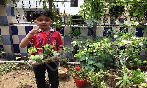 Lovely Public English School, Yojna Vihar, Anand Vihar, Delhi Gardening