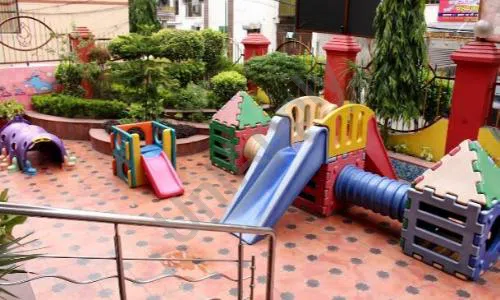Indian Heritage World School, Priyadarshini Vihar, Laxmi Nagar, Delhi Playground