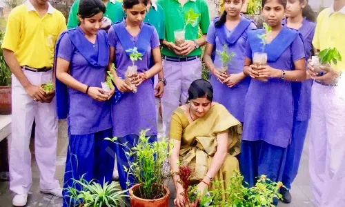 St. Andrews Scots School, Jagat Puri, Krishna Nagar, Delhi Gardening