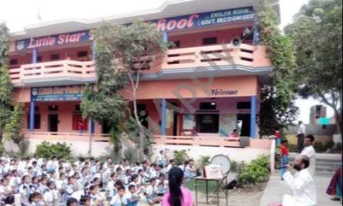 Little Star Public School, New Chauhanpur, Karawal Nagar, Delhi School Building