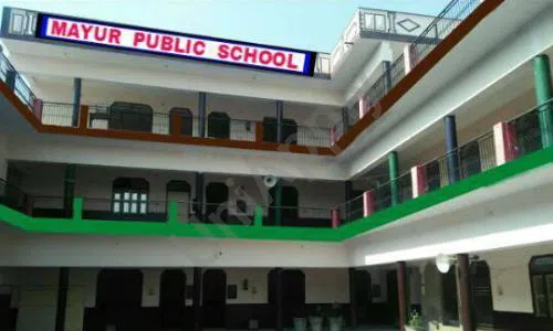 Mayur Public School, Karawal Nagar, Delhi School Building