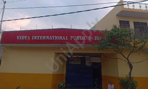 Vidya International Public School, Karawal Nagar, Delhi School Building