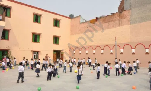 Sarvada Modern Secondary School, Sadatpur Extension, Karawal Nagar, Delhi Playground
