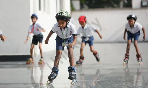 PP International School, Pitampura, Delhi Skating