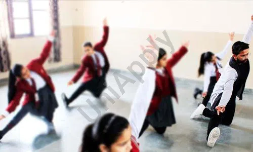 Mount Abu Public School, Sector 18, Rohini, Delhi Dance