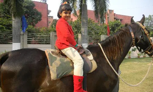 G.D. Goenka Public School, Sector 9, Rohini, Delhi Horse Riding