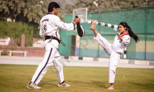 De Indian Public School, Sector 24, Rohini, Delhi Karate