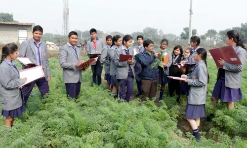 Ganga International School, Sawda, Ghevra, Delhi Gardening
