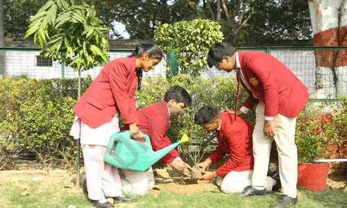 Yuvashakti Model School, Sector 3, Rohini, Delhi Gardening