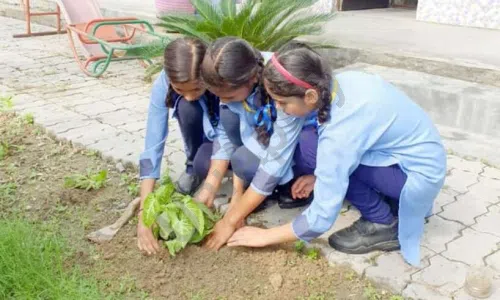 Gyanodaya Model Public School, Alipur, Delhi Gardening