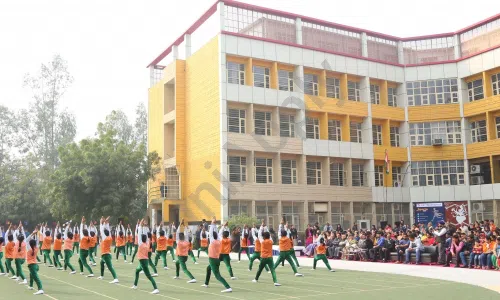 KIIT World School, Pitampura, Delhi Playground