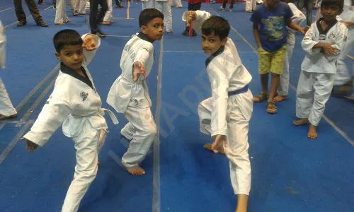 Jagriti Public School, Prem Nagar, Kirari Suleman Nagar, Delhi Karate