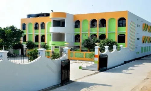 National Public School, Master Colony, Narela, Delhi School Building
