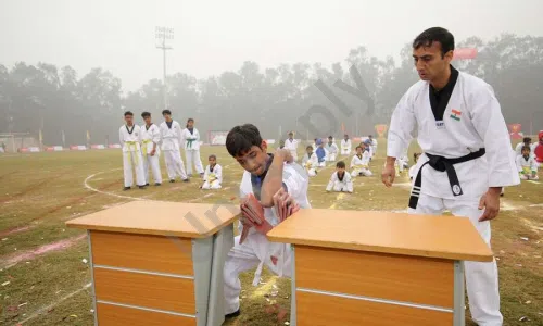 Perfect Public School, Pitampura, Delhi Karate