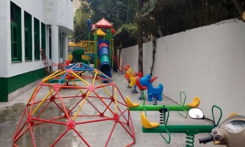 Rahul Public School, Sector 38, Rohini, Delhi Playground