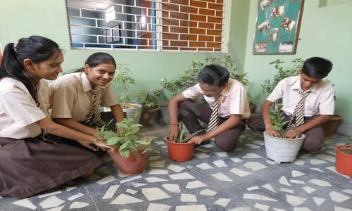 Sona Public School, Samaypur, Delhi Gardening