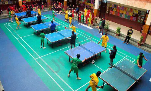 The Mann School, Holambi Khurd, Delhi Indoor Sports 2