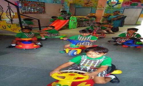 Little Blossom Play School, Brahampuri, Shahdara, Delhi Playground
