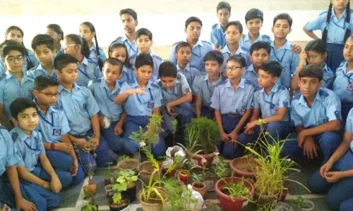 St. Krishna Bodh Public School, Nathu Colony, Shahdara, Delhi School Event