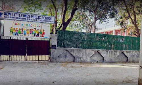 New Little One's Public School, Chhatarpur, Delhi School Building 1