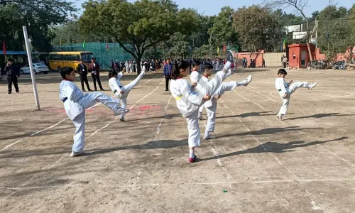 St. Mary's Public School, Devli, Sangam Vihar, Delhi Karate