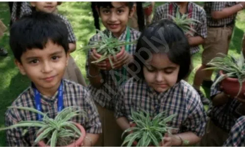 The Indian School, Sector 1, Sadiq Nagar, Delhi Gardening