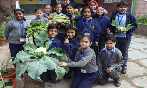 Cambridge Primary School, New Friends Colony, Delhi Gardening