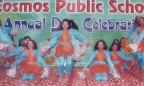 Cosmos School, Harsh Vihar, Badarpur, Delhi School Event