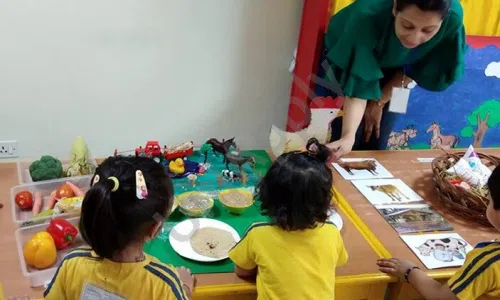Modern Montessori International PreSchool, Delhi School Event
