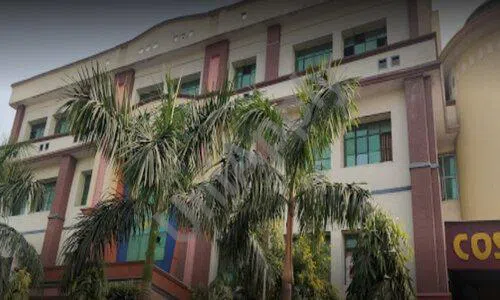 Cosmos Public School, Mohan Baba Nagar, Badarpur, Delhi School Building