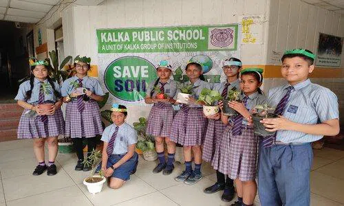 Kalka Public School, Kalkaji, Delhi Gardening