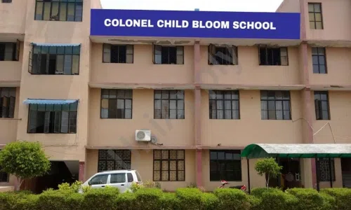 Colonel Child Bloom School, Naveen Palace, Jharoda Kalan, Delhi School Building