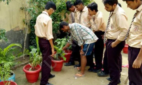 Jeewan Public Secondary School, Sector 5, Dwarka, Delhi Gardening