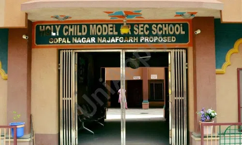 Holy Child Model School, Gopal Nagar Extension, Najafgarh, Delhi School Infrastructure