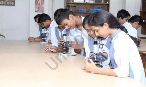 Veer Public School, Kapashera, Delhi Science Lab