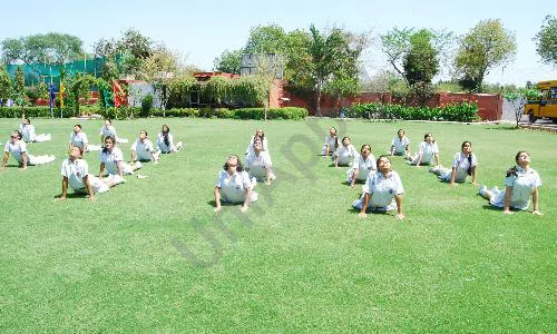 Delhi National Public School, Bijwasan, Delhi Yoga