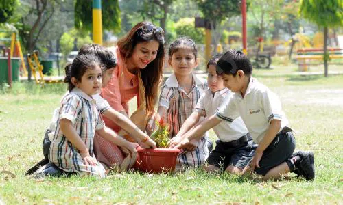 Presidium School, Paschim Vihar, Delhi Gardening