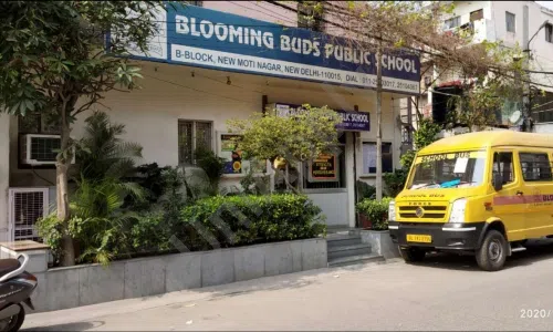 Blooming Buds Public School, Phase 1, Moti Nagar, Delhi School Building 1